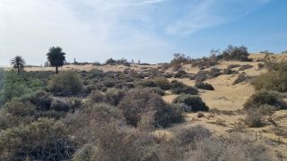2023-GC--Mapalomas dunas-S123-231.jpg